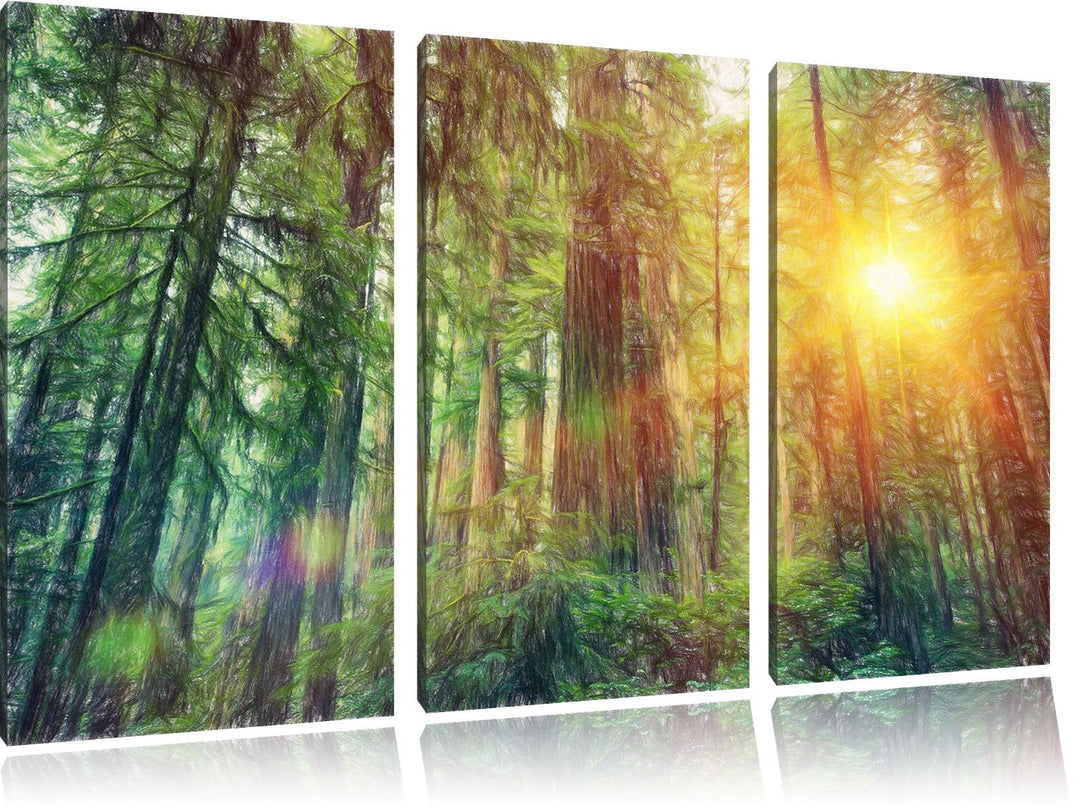 Pixxprint Wald bei Sonnenlicht / 3-Teilig/Gesamtmass 120cm Leinwandbild bespannt auf Holzrahmen/Wand