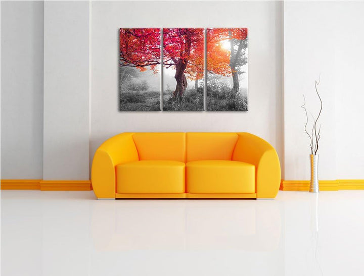 Zauberhafte Waldlandschaft schwarz/weiss 3-Teiler Leinwandbild 120x80 Bild auf Leinwand, XXL riesige