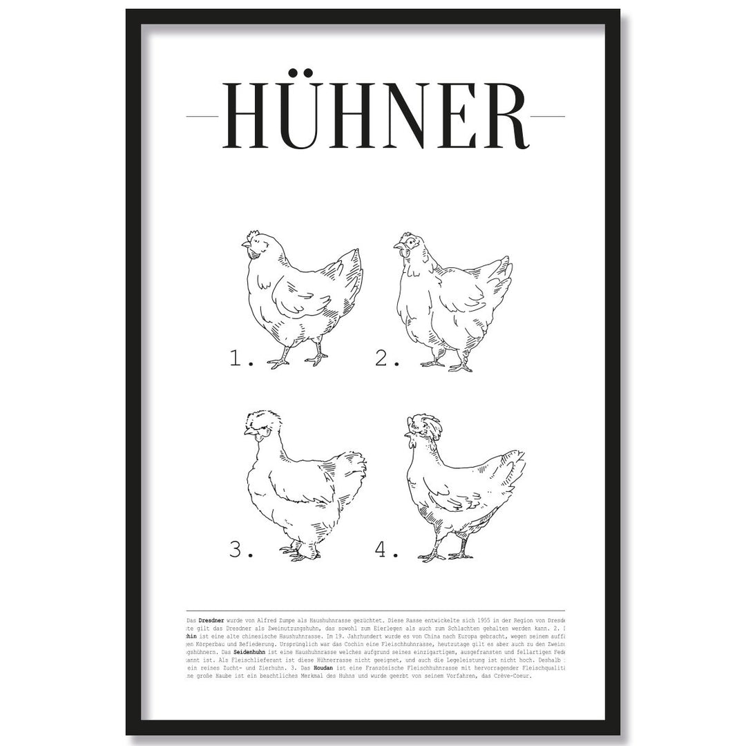JUNIWORDS Poster mit/ohne Holzrahmen - Wähle ein Motiv - Hühner - Wähle eine Grösse - 40 x 60 cm (L)