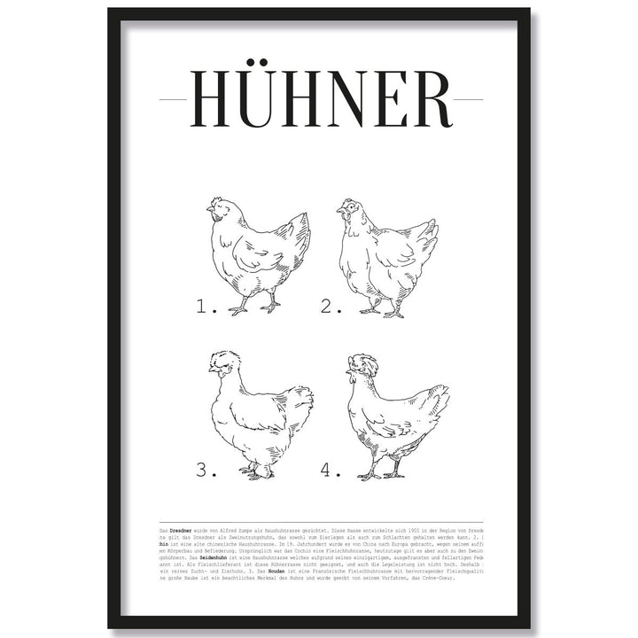 JUNIWORDS Poster mit/ohne Holzrahmen - Wähle ein Motiv - Hühner - Wähle eine Grösse - 40 x 60 cm (L)