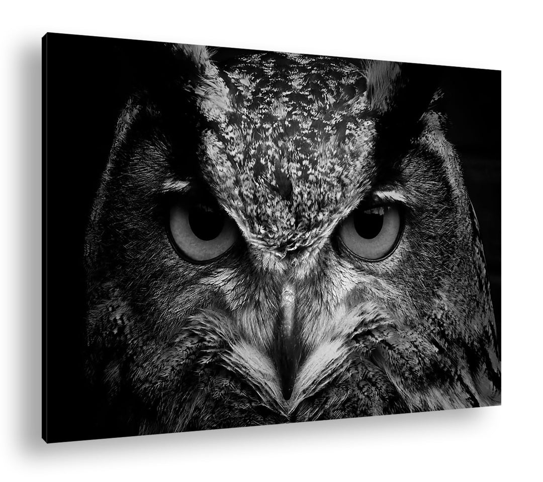 deyoli lauernde Augen einer Eule Format:75x50 cm Effekt: Schwarz/Weiss als Leinwandbild, Motiv ferti
