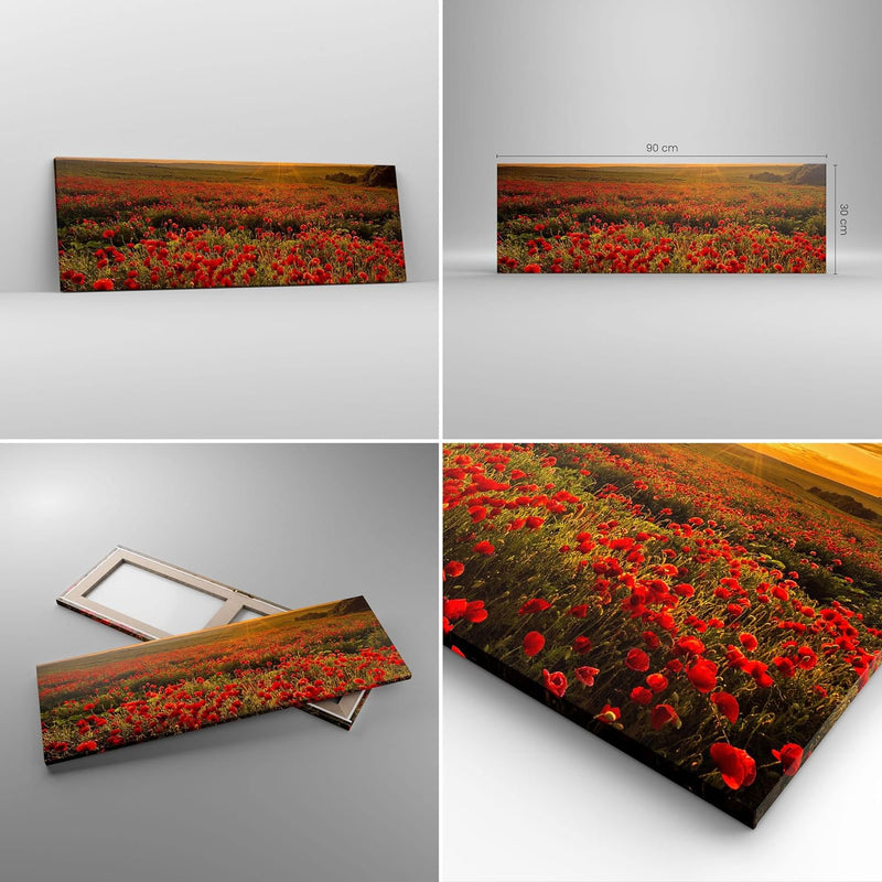 Panorama Bilder auf Leinwand Mohn Blume Wiese Leinwandbild mit Rahmen 90x30cm Wandbilder Dekoration