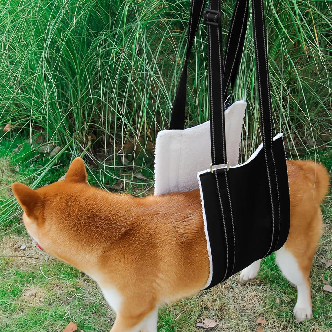 Tragehilfe Hund, Einstellbare Hundetragegurt, Treppenhilfe für Hunde M, Weiches Material Tragegeschi