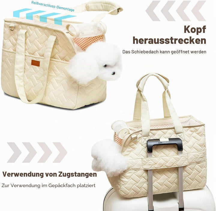 PETCUTE Hundetasche für Katze und Hund,Atmungsaktive Hundetasche für Kleine Hunde 6KG,Hundetragetasc