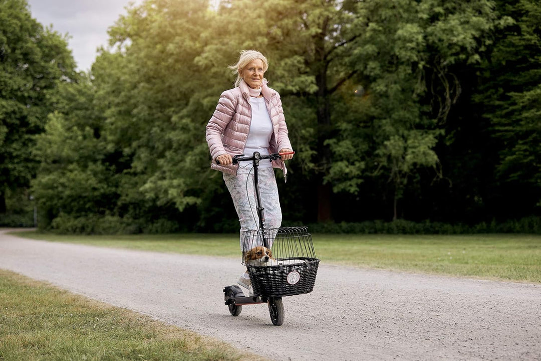 Moovi - MoovIt Lastensystem/Gepäckträger E-Scooter Mini und PRO