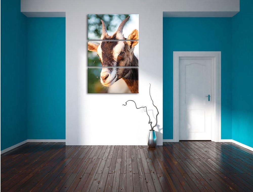 Pixxprint Niedliche Ziege als Leinwandbild/Grösse: 3 Teilig (120x80) / Wandbild/Kunstdruck/fertig be