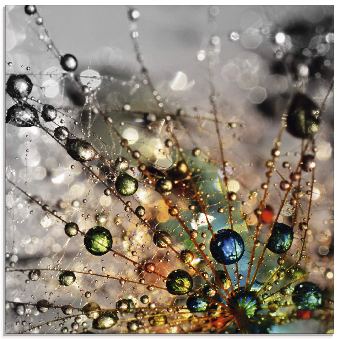 ARTland Wanddeko Glasbilder Wandbild Glas Bild einteilig 20x20 cm Quadratisch Natur Botanik Blumen P