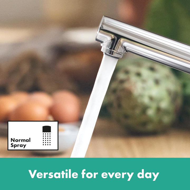 hansgrohe Niederdruck Küchenarmatur Zesis M33, Wasserhahn Küche mit Auslauf Höhe 150 mm, für offene