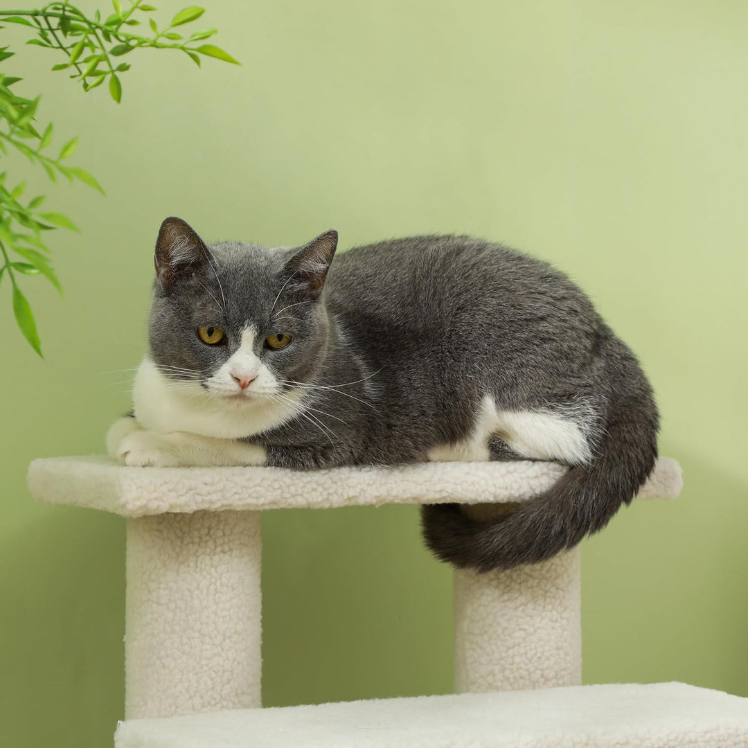 PawHut Tiertreppe Katzentreppe Hundetreppe Treppe für Katze und Hunde 4 Stufen Beige 63,5x43x60cm, B
