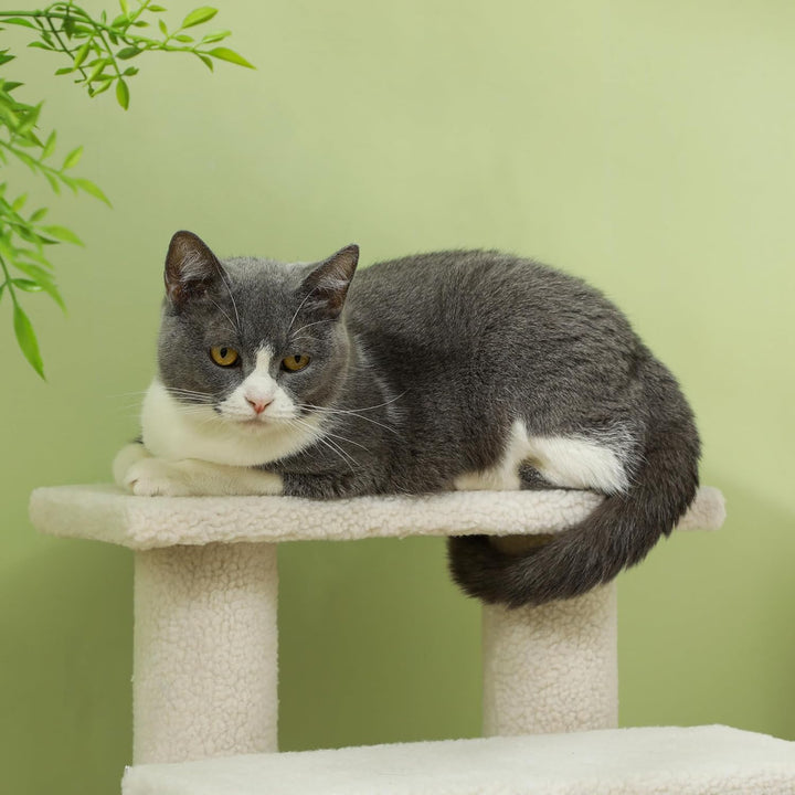 PawHut Tiertreppe Katzentreppe Hundetreppe Treppe für Katze und Hunde 4 Stufen Beige 63,5x43x60cm, B