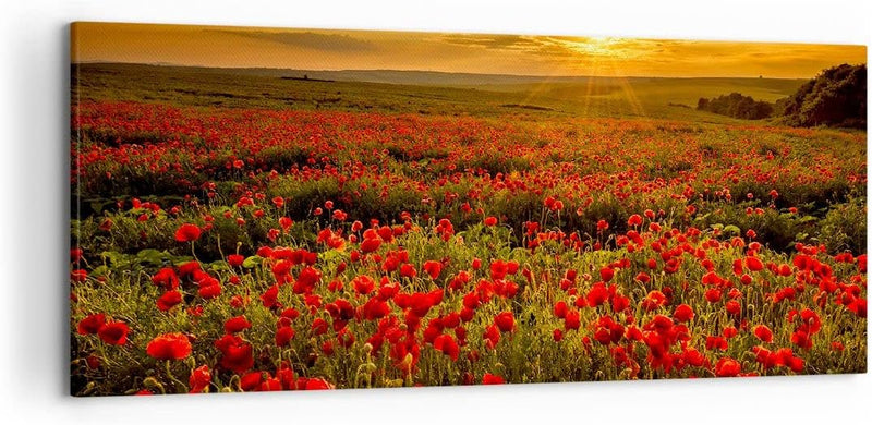 Wandbilder Dekoration Wohnzimmer Mohn Blume Wiese Panorama Bilder auf Leinwand 120x50cm Leinwandbild