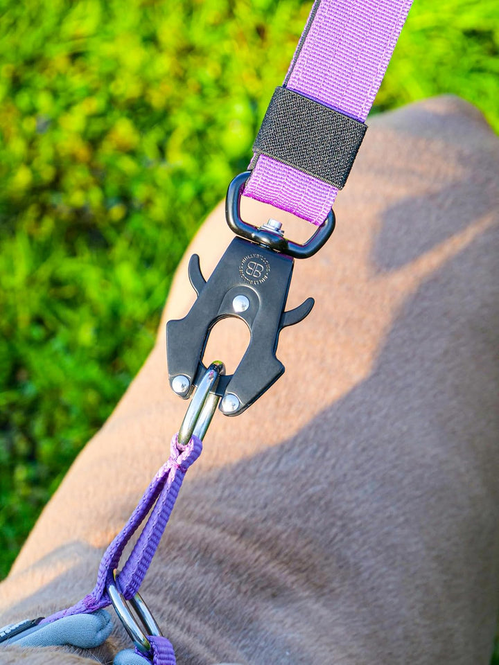 BullyBillows Traffic Hundeleine | Kurzgriff für Enge Kontrolle und Sicherheit | Gepolstert, robust u