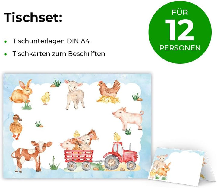 Party-Set zum Geburtstag für 12 Personen - Tischkarten, Tischunterlagen, doppelseitige Girlanden und