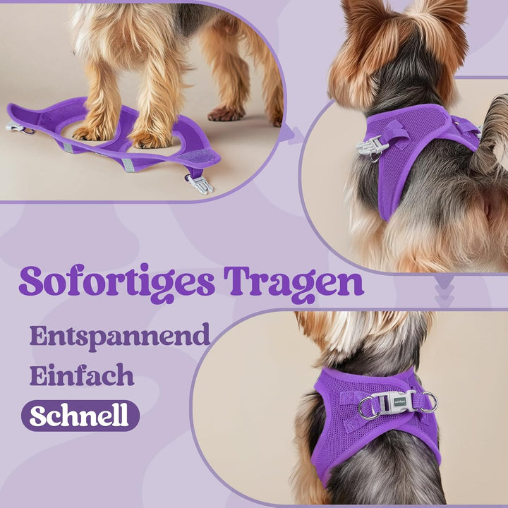 rabbitgoo Hundegeschirr Kleine Hunde, Step-in Welpengeschirr Weich Mesh für Spaziergänge, Atmungsakt