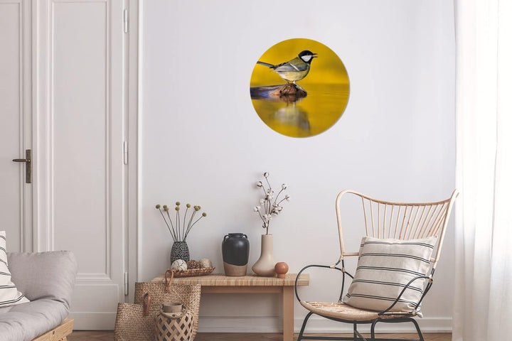 MuchoWow Wandbild Rund Wanddeko Deko Wohnzimmer Bilder 30x30 cm Kohlmeise - Vogel - Wasser, 30x30 cm