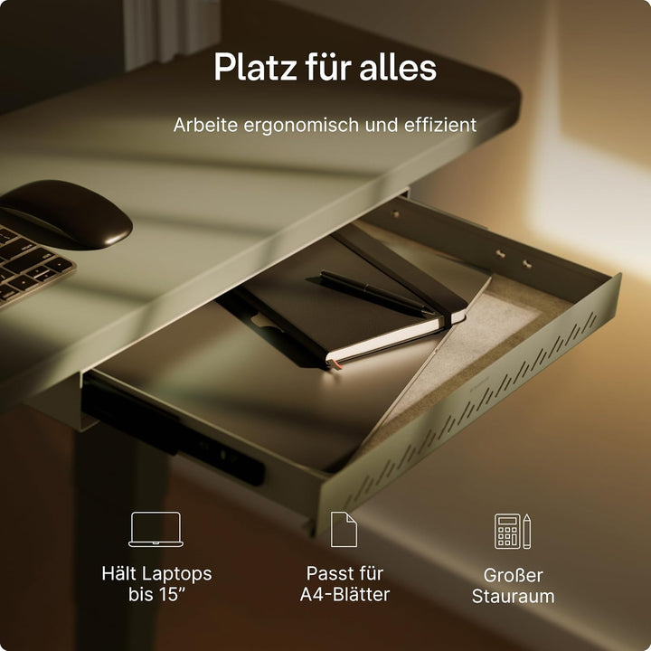 Desktronic Schreibtisch-Organizer, Untertisch-Aufbewahrungsbox, Schreibtisch für Büro Schule Homeoff
