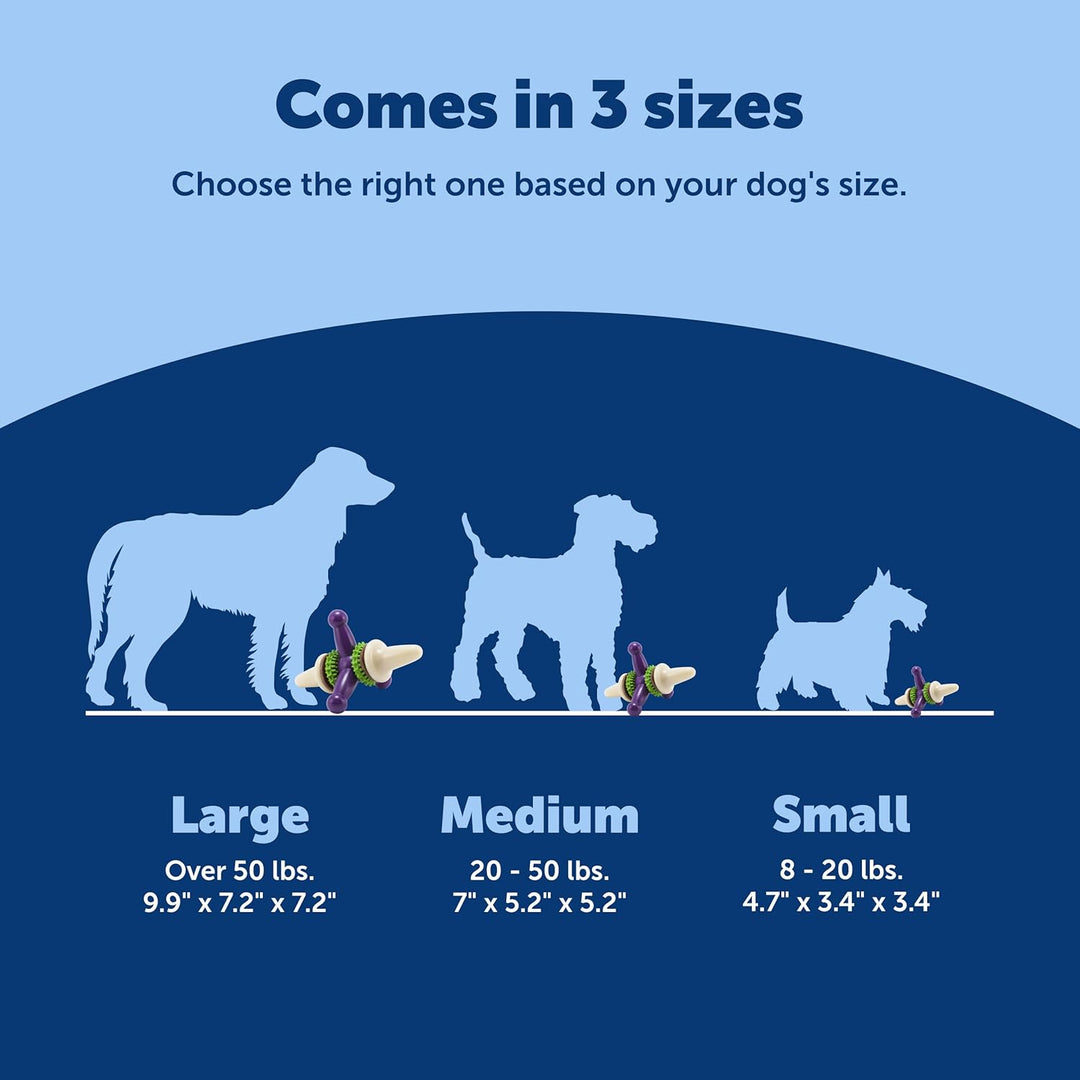 PetSafe Busy Buddy Jack Hundespielzeug, L