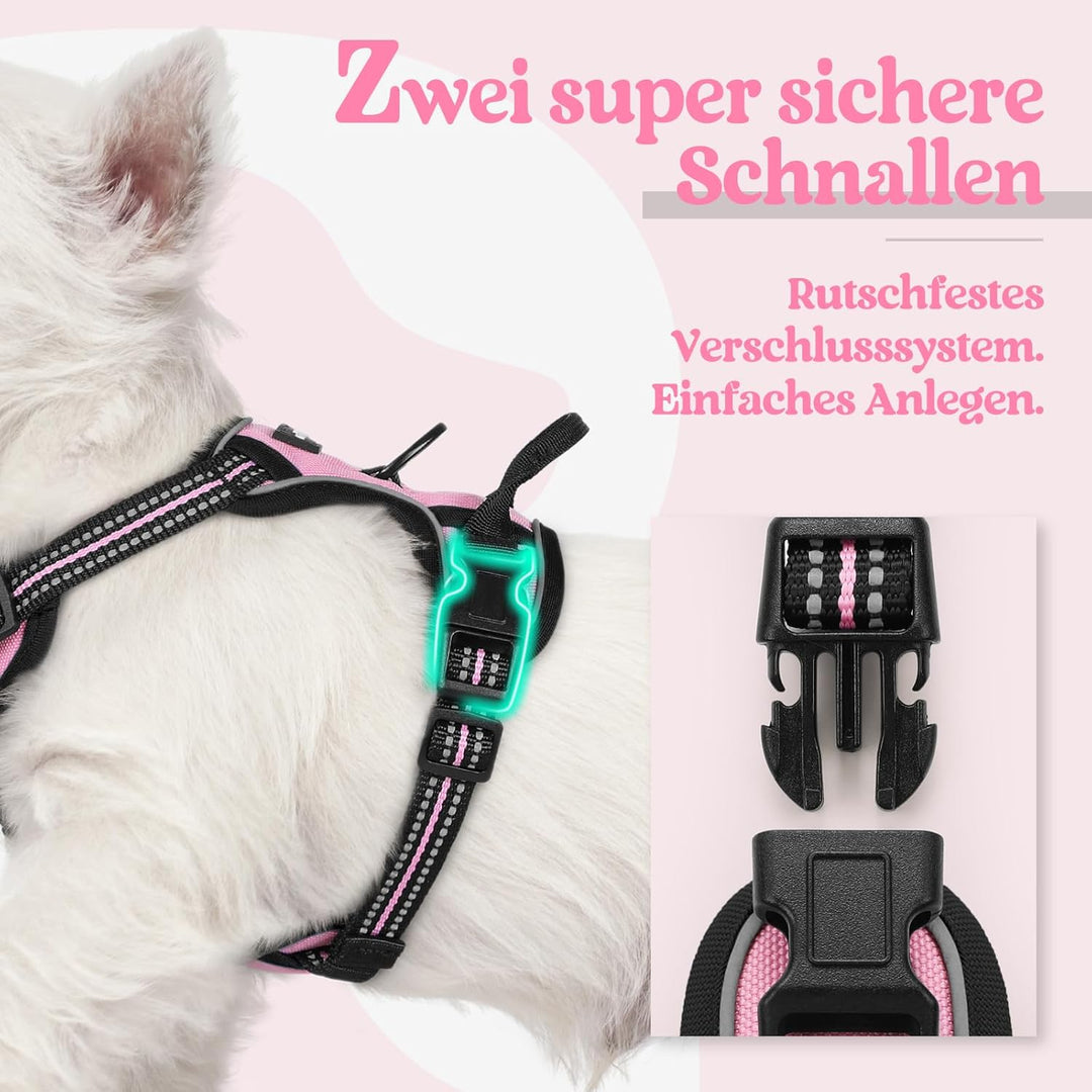 rabbitgoo Hundegeschirr Kleine Hunde Anti Zug Geschirr Hund mit Kontrolle No Pull Verstellbar Hundeg