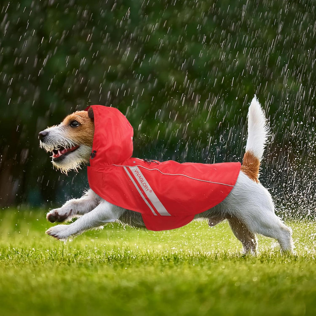 VIVAGLORY Wetoff Hunderegenmantel, Regenmantel Hund für Winter, Hunderegenjacke, Wasserdicht & Refle
