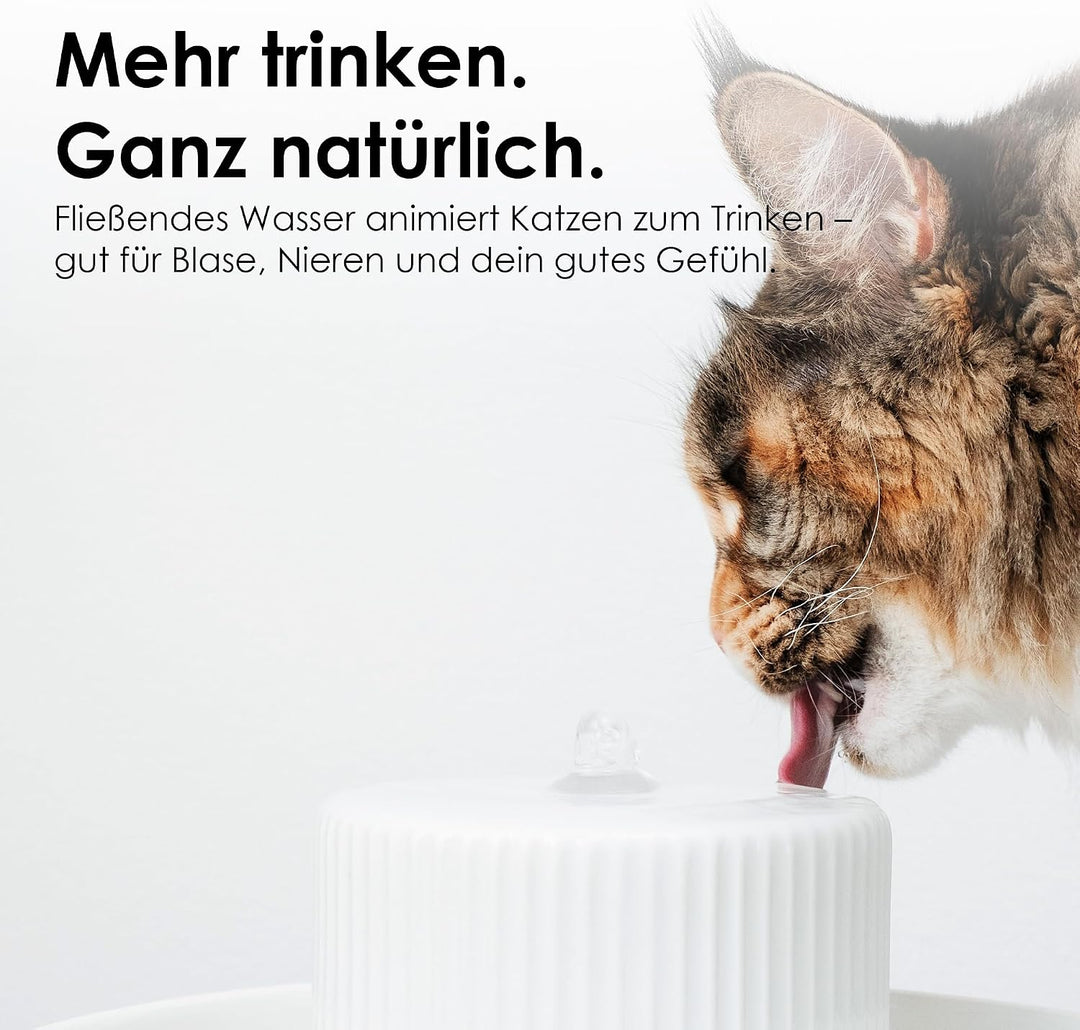 LucyBalu® Trevi Trinkbrunnen für Katzen aus Keramik | Katzenbrunnen für Katzen | Katzentrinkbrunnen