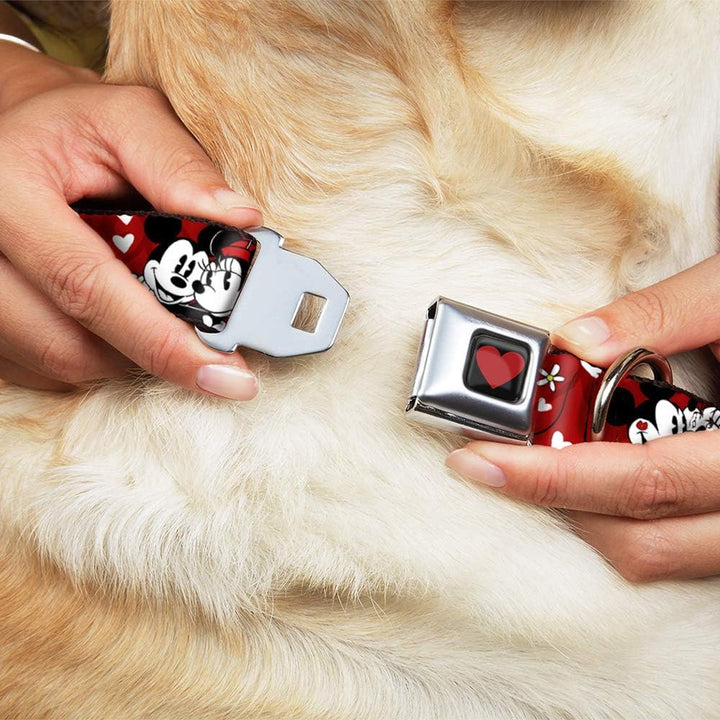 Buckle Down Sicherheitsgurt-Schnalle, Hundehalsband – Mickey & Minnie HUGS & Kisses Posen Rot/Weiss
