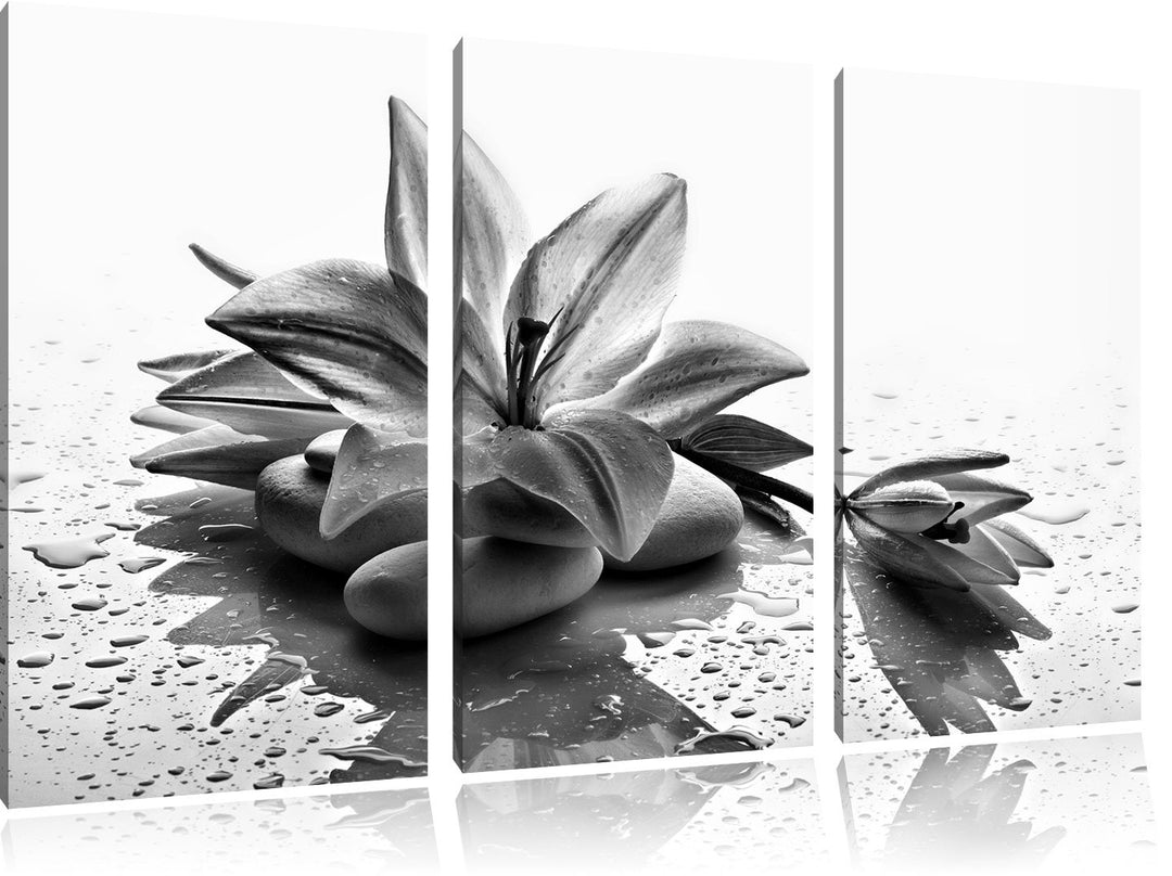 Pixxprint Monocrome, Düstere Lilie mit Zen Steinen 3-Teiler Leinwandbild 120x80 Bild auf Leinwand