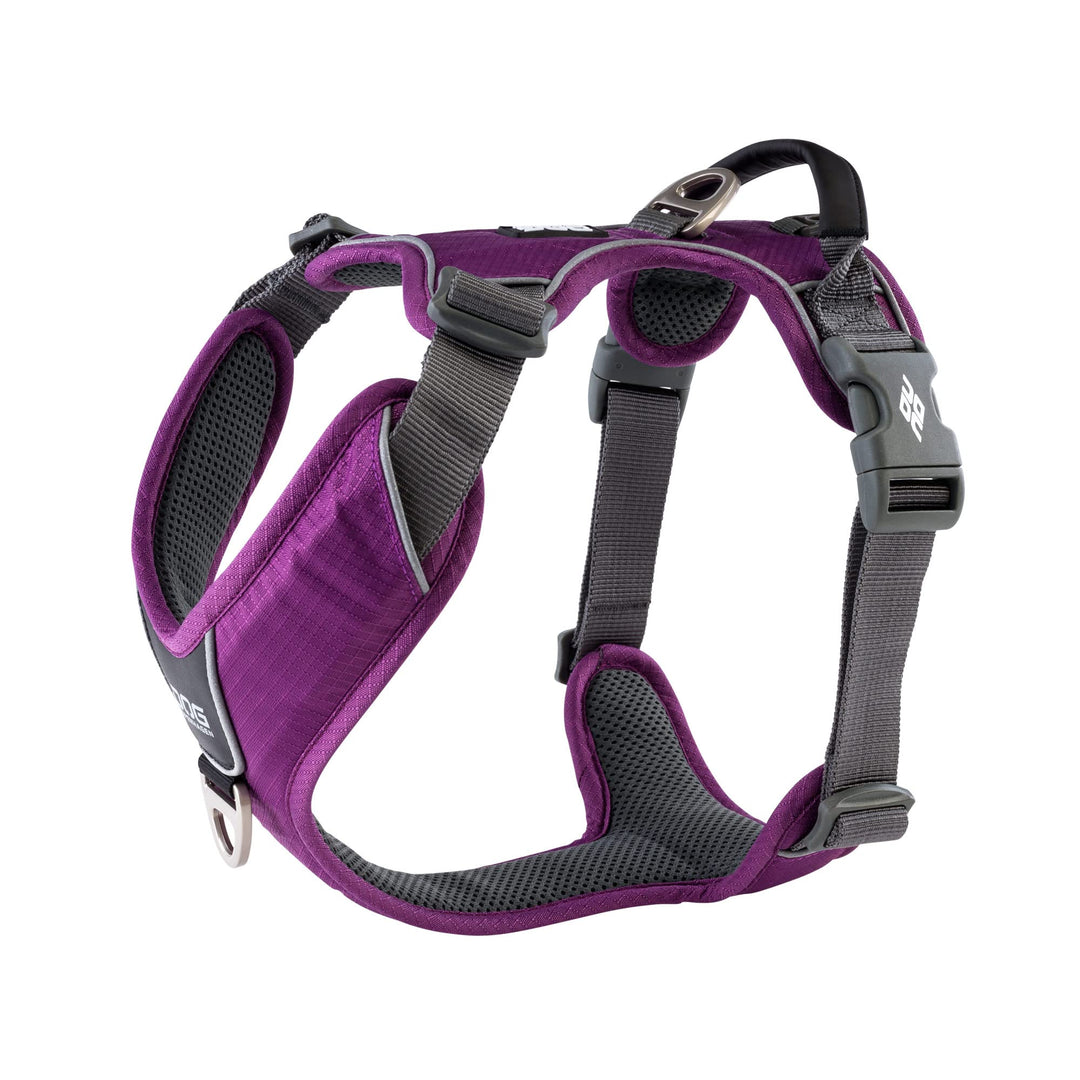 DOG Copenhagen Hundegeschirr V2 Comfort Walk (Pro) Purple Passion Grösse XS Purple Passion | Lila (V