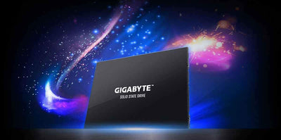 Gigabyte 1TB 6,35cm 2,5Zoll SSD SATA3 GP-GSTFS31100TNTD