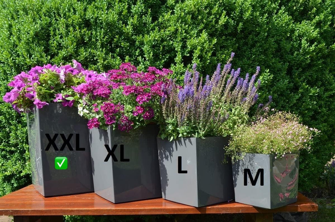MELTOM XXL Pflanzkübel aus Kunststoff in Hochglanz Farbe: Anthrazit mit Herausnehmbaren Einsatz, BxT