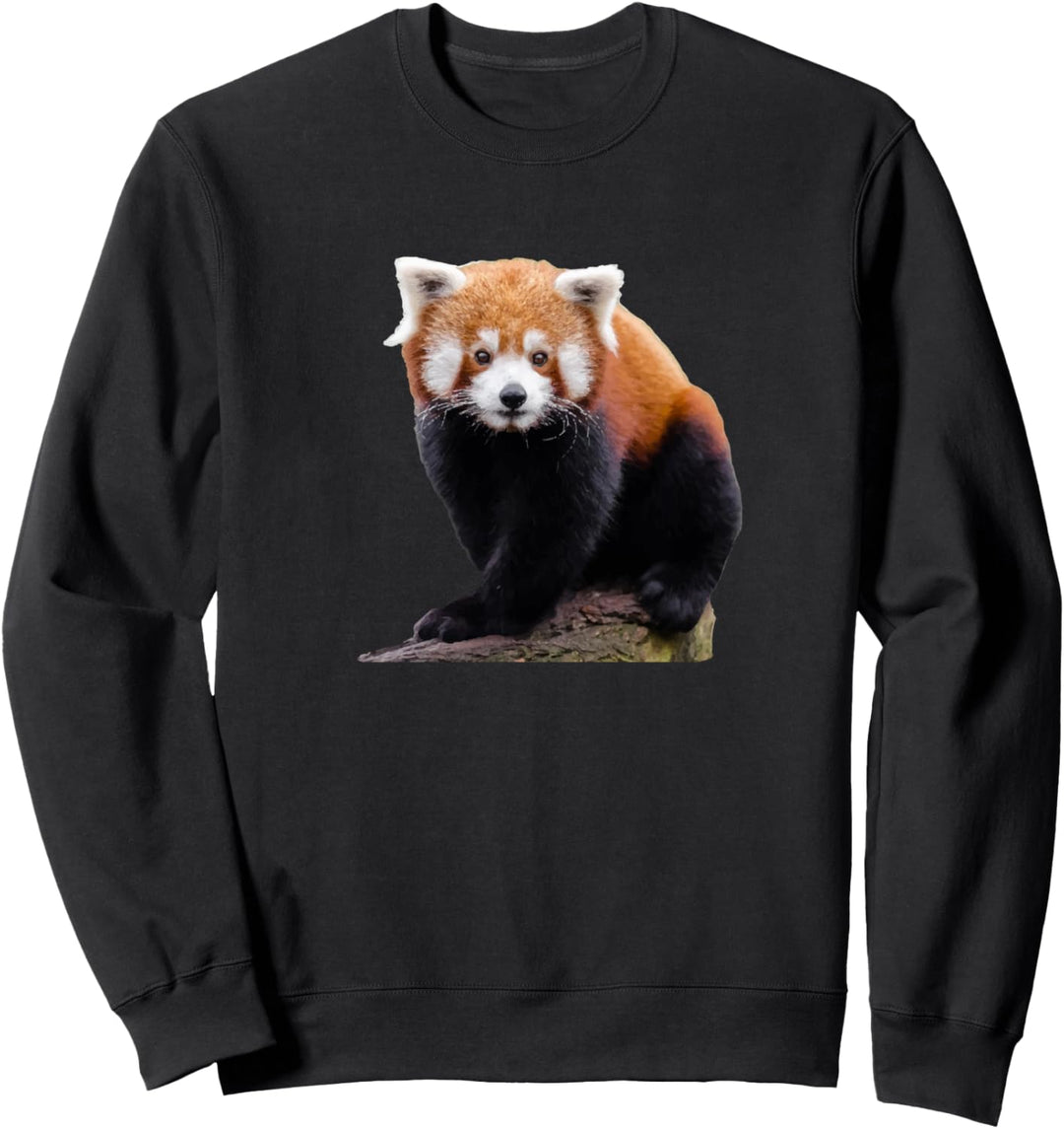 Kleiner Roter Panda süss und niedlich Katzenbär Sweatshirt