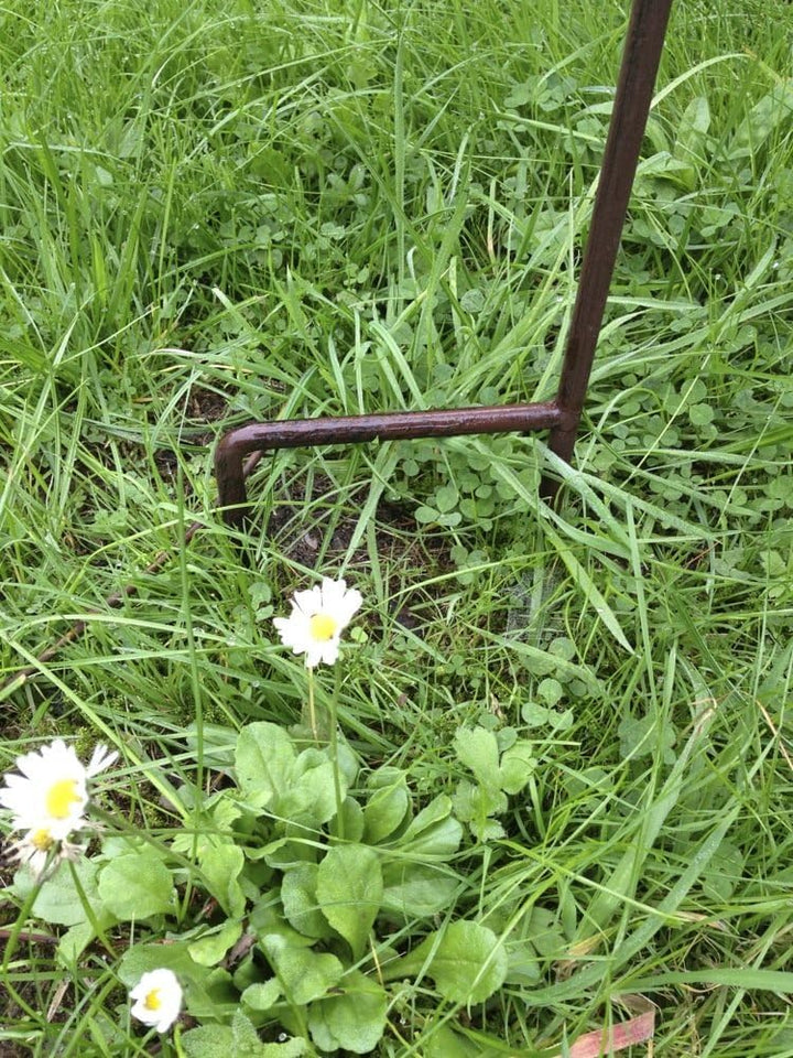 Antikas - Glas-Regenmesser, originelle Dekoration Niederschlagsmesser als Beetstecker