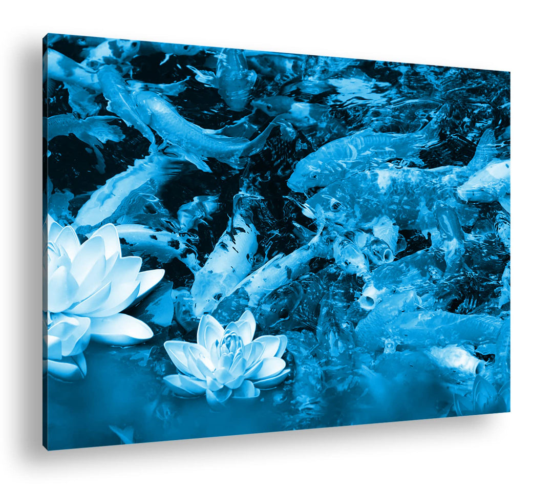 deyoli Teich voller Koi Karpfen Format 80x60 Effekt: Monocrome Blau als Leinwandbild, Motiv fertig g