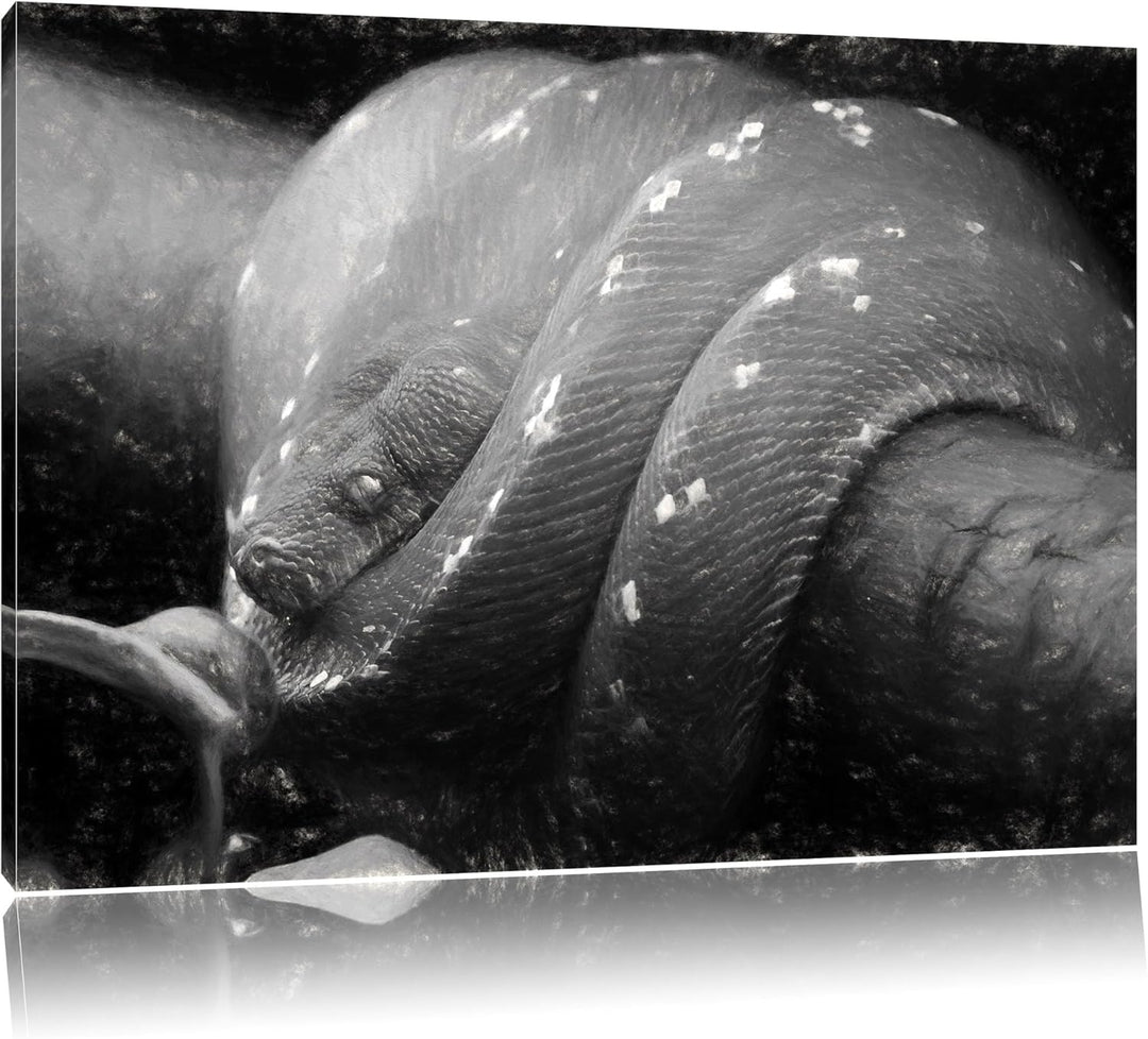 Pixxprint Grüne exotische Schlange als Leinwandbild/Grösse: 100x70 cm/Wandbild/Kunstdruck/fertig bes