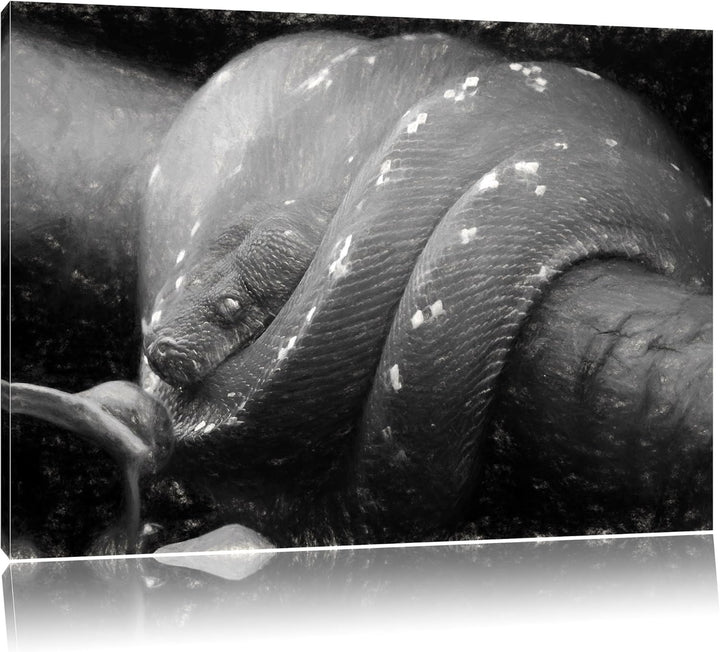 Pixxprint Grüne exotische Schlange als Leinwandbild/Grösse: 100x70 cm/Wandbild/Kunstdruck/fertig bes