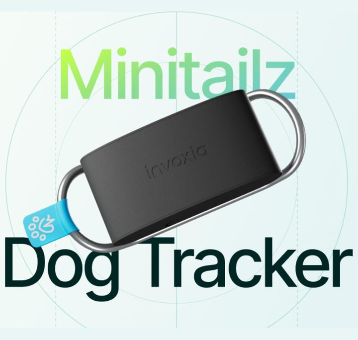 Invoxia Minitailz - Gesundheits- und GPS-Tracker für Hunde 