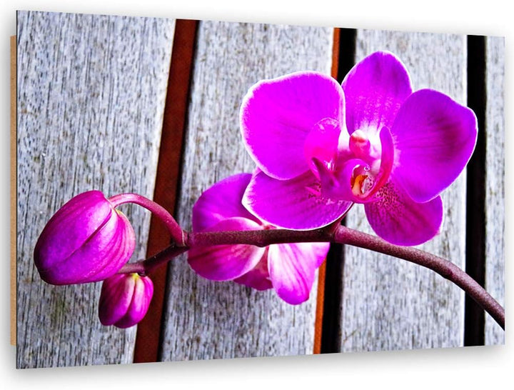 Feeby Wanddeko Orchideen Bild Kunstdruck modern Blumen Violett 80x60 cm Deko Paneel 80x60 cm Violett
