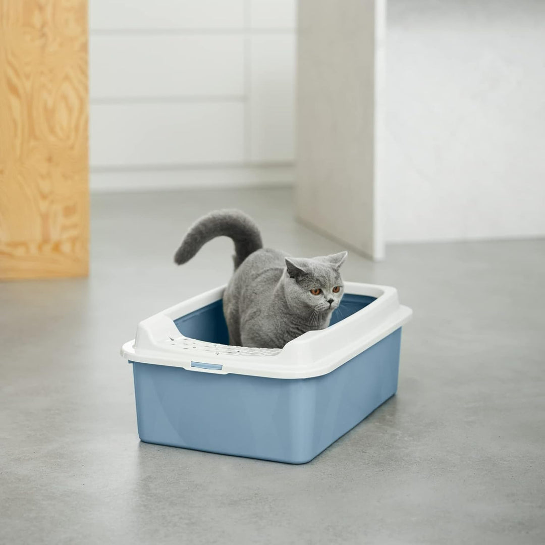 Rotho MyPet Eco Bonnie Katzenklo mit Top-Eingang, Kunststoff (PP recycelt), weiss/blau, M (57.2 x 39