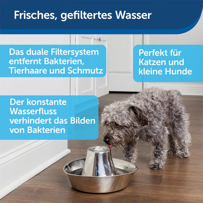 PetSafe Edelstahl-Trinkbrunnen Seaside, Sauberes Trinkwasser für Katzen und Hunde, Leiser Betrieb, 1