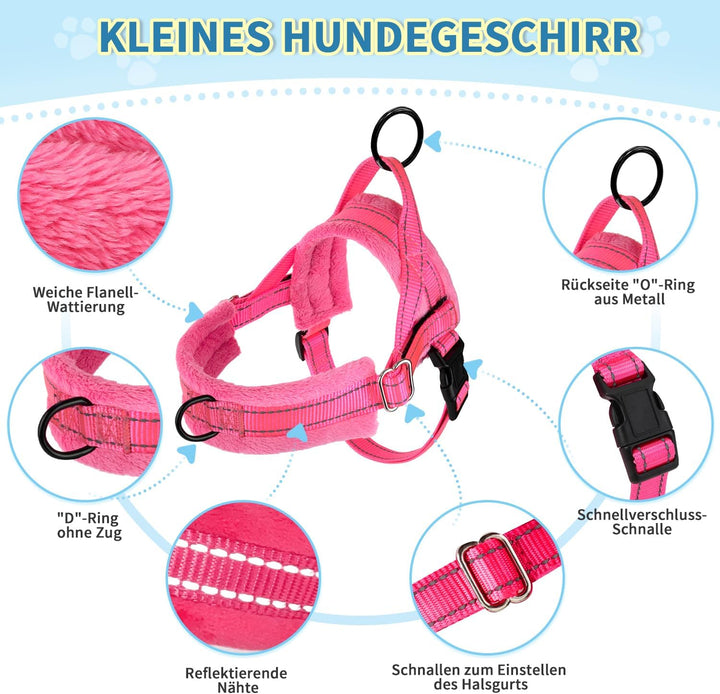 Hundegeschirr mit Leine für mittelgrosse Kleine Hunde, Weich gepolsterter No-Pull Brustgeschirr mit