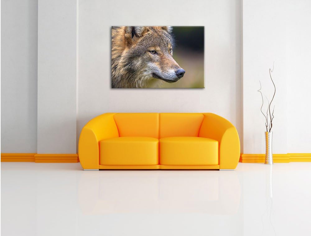 Pixxprint Porträt des europäischen Wolfes als Leinwandbild/Grösse: 100x70 cm/Wandbild/Kunstdruck/fer