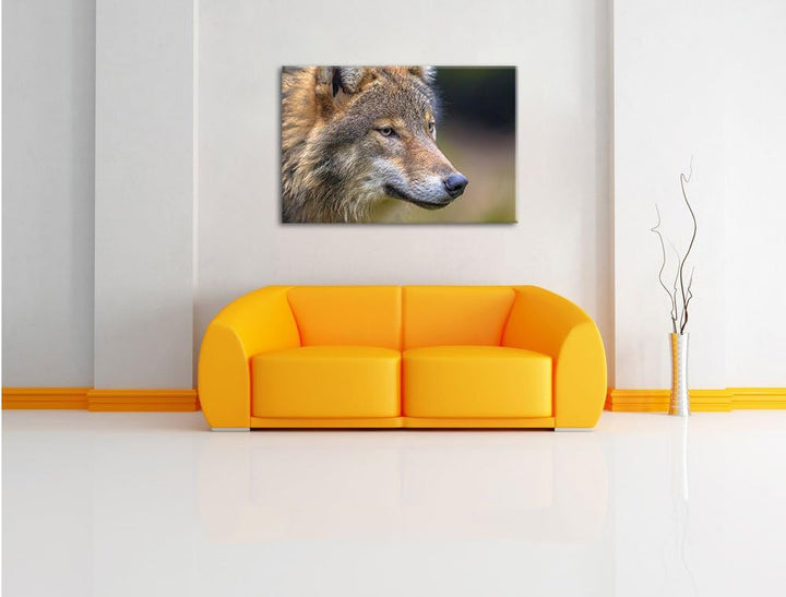 Pixxprint Porträt des europäischen Wolfes als Leinwandbild/Grösse: 100x70 cm/Wandbild/Kunstdruck/fer
