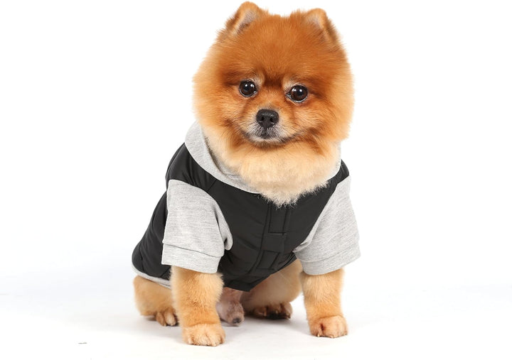 Doggy Dolly W109 Hundejacke Wasserabweisend mit Kapuze, schwarz/grau, Wintermantel/Winterjacke, Grös