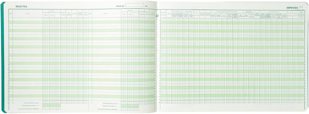 EXACOMPTA Geschäftsbuch "Recettes/Dépenses professions libé-