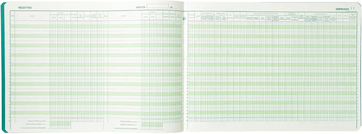 EXACOMPTA Geschäftsbuch "Recettes/Dépenses professions libé-