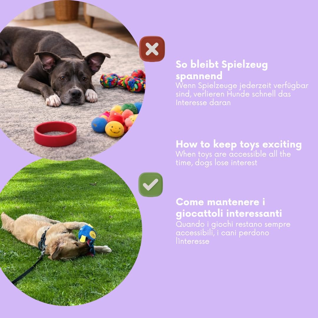 PAWZZLE Hundelickspielzeug - Schnüffelspielzeug für Hunde & Welpen – Interaktives Futterspielzeug mi