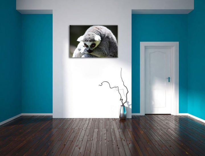 Pixxprint sitzender Katta auf Leinwand, XXL riesige Bilder fertig gerahmt mit Keilrahmen, Kunstdruck