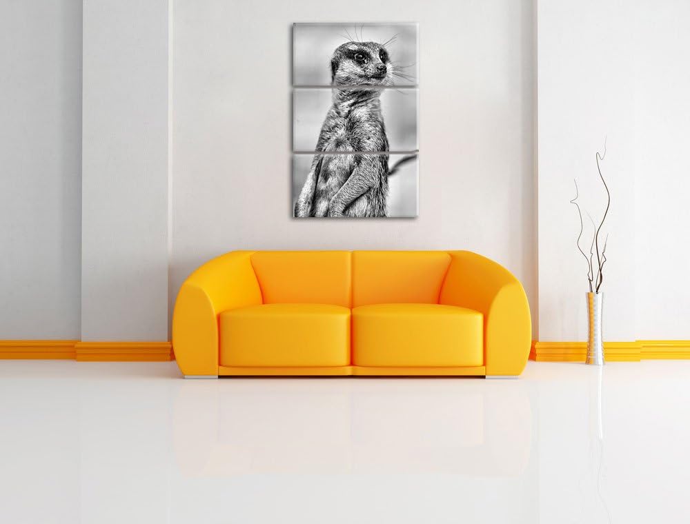 Pixxprint aufmerksames Erdmännchen / 3-Teilig/Gesamtmass 120cm Leinwandbild bespannt auf Holzrahmen/