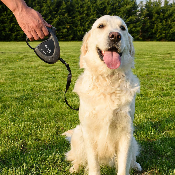 Ferplast Hundeleine Flippy TECH, Rollleine mittelgrosse Hunde bis 25 kg. Ausziehbares Gurtband max.