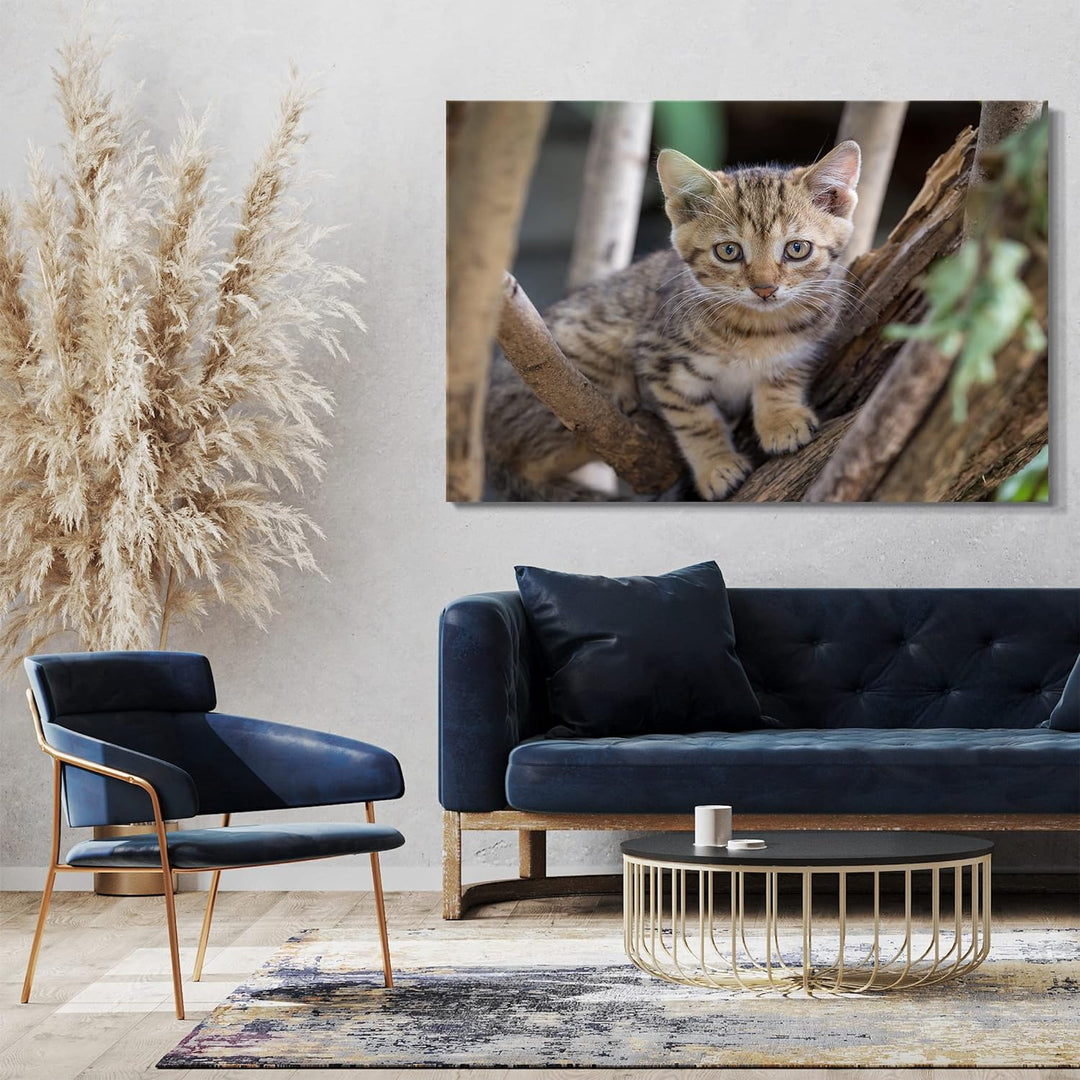 Printed Paintings Leinwand (100x70cm): Katzenbaby draussen auf Baum Katzenbilder 100x70 cm, 100x70 c