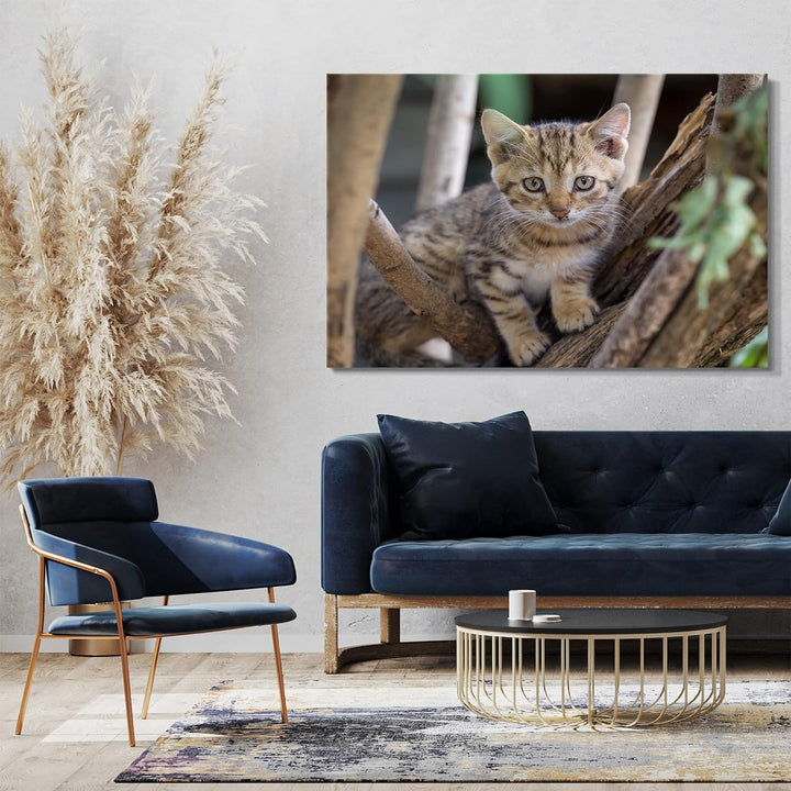 Printed Paintings Leinwand (100x70cm): Katzenbaby draussen auf Baum Katzenbilder 100x70 cm, 100x70 c